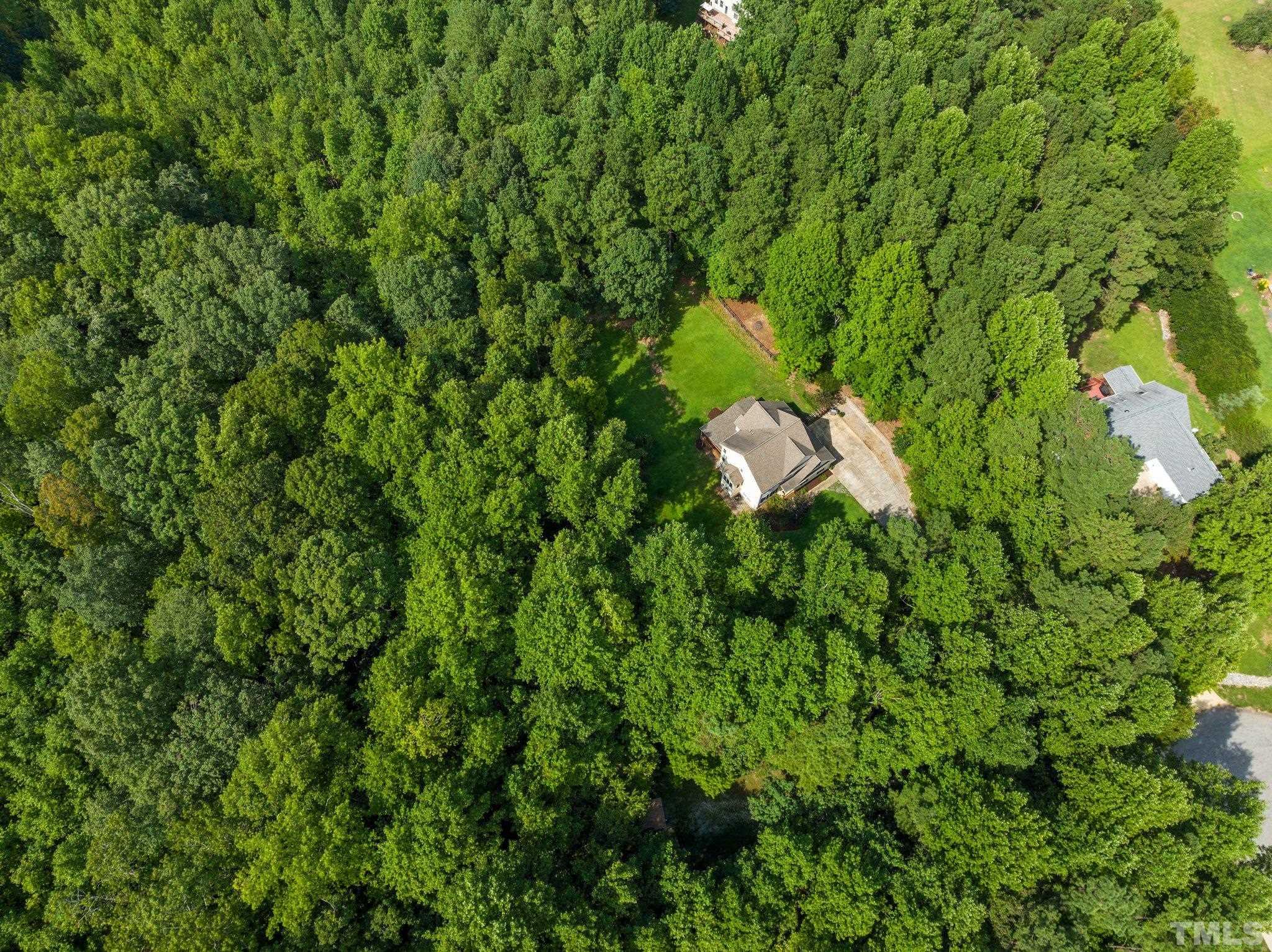 1108 Sky Point Court Raleigh, NC 27603 - Photo 29 of 80