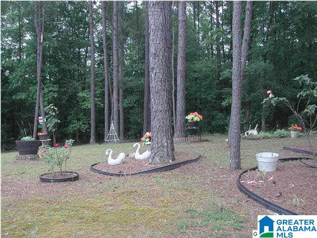 1115 Marvel Road Brierfield, AL 35035 - Photo 5 of 7