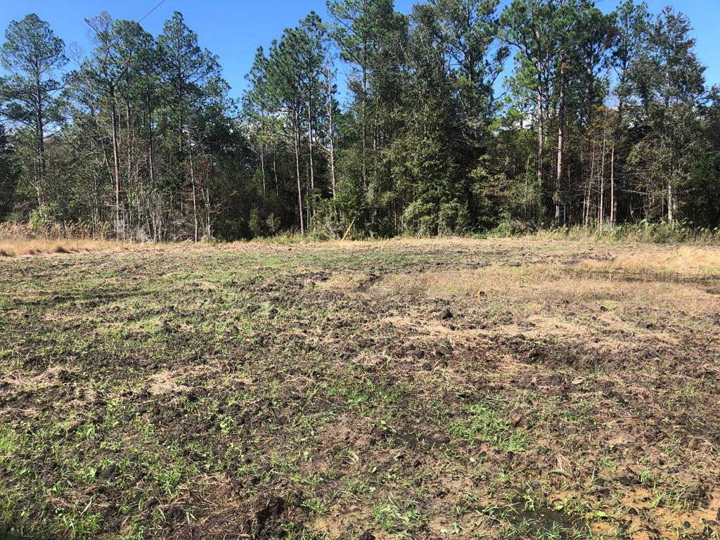 Undisclosed Address Samson, AL 36477 - Photo 21 of 39