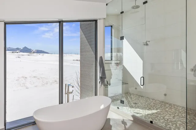 $11,900,000 | 167 Adams Ranch Road, Mountain Village, CO 81435