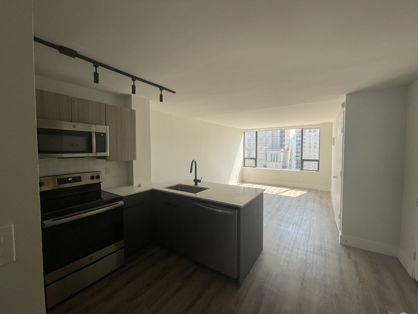 Undisclosed Address Chicago, IL 60611 - Photo 2 of 13 a kitchen with stainless steel appliances a sink stove and microwave