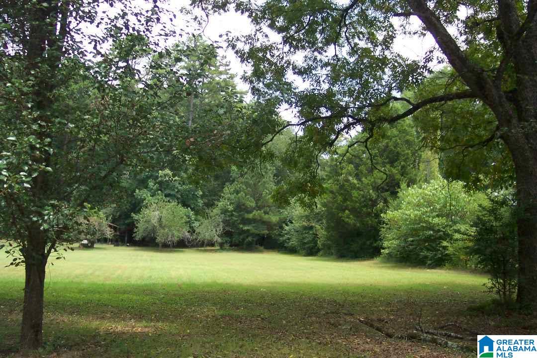 9945 Old Springville Road Trussville, AL 35173 - Photo 25 of 27
