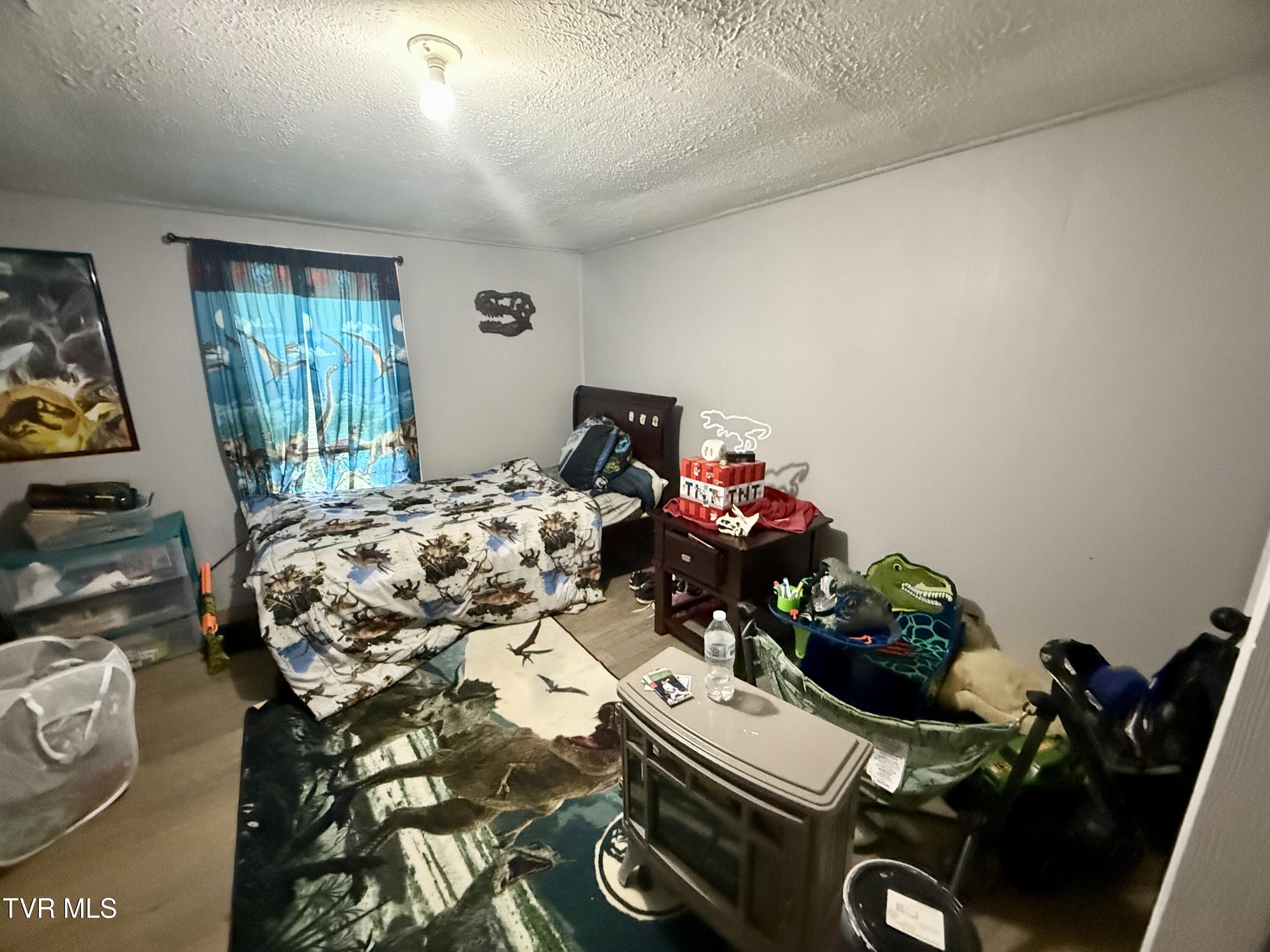 116 Vines Road Hampton, TN 37658 - Photo 11 of 22 IMG_6015