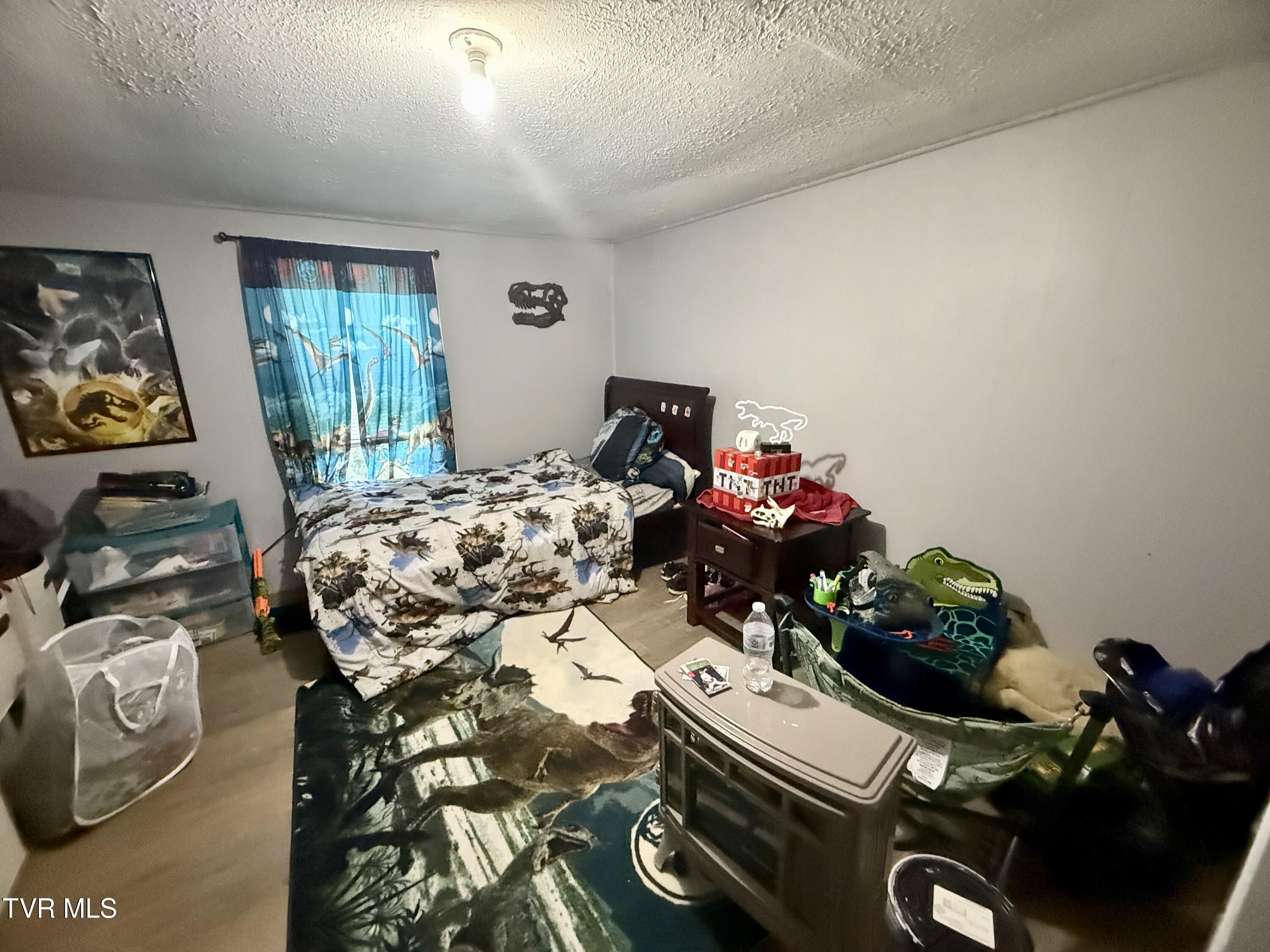 116 Vines Road Hampton, TN 37658 - Photo 12 of 22 IMG_6014