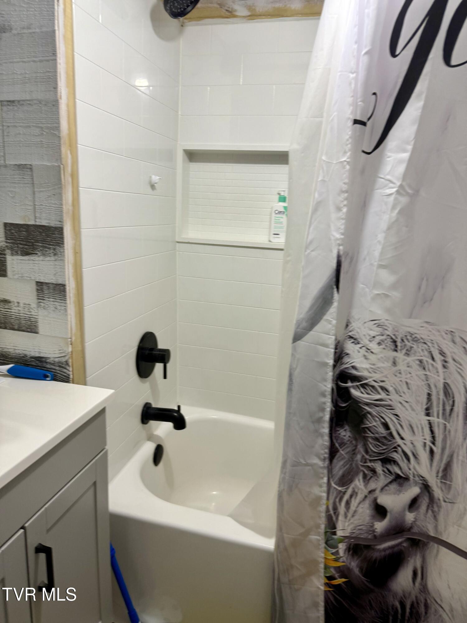 116 Vines Road Hampton, TN 37658 - Photo 16 of 22 IMG_6010