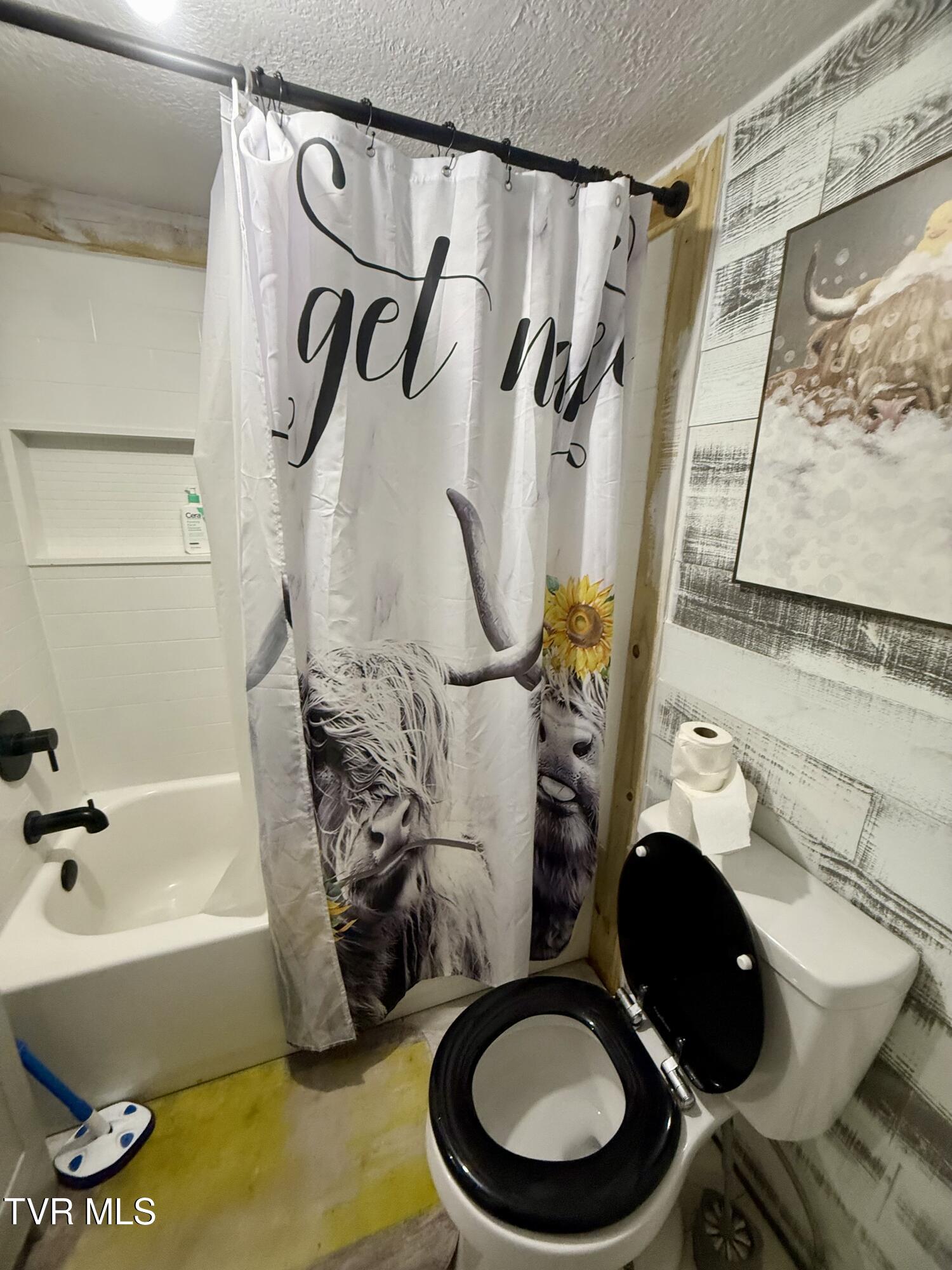 116 Vines Road Hampton, TN 37658 - Photo 17 of 22 IMG_6008