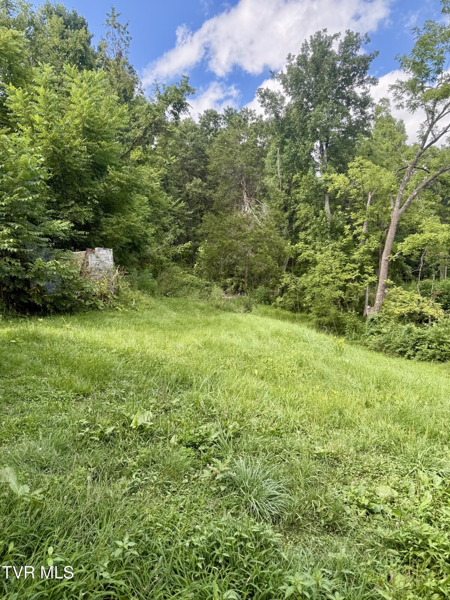 116 Vines Road Hampton, TN 37658 - Photo 2 of 22 IMG_6030