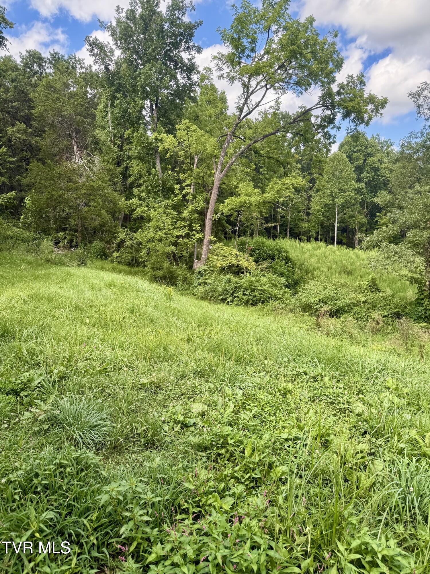 116 Vines Road Hampton, TN 37658 - Photo 3 of 22 IMG_6029