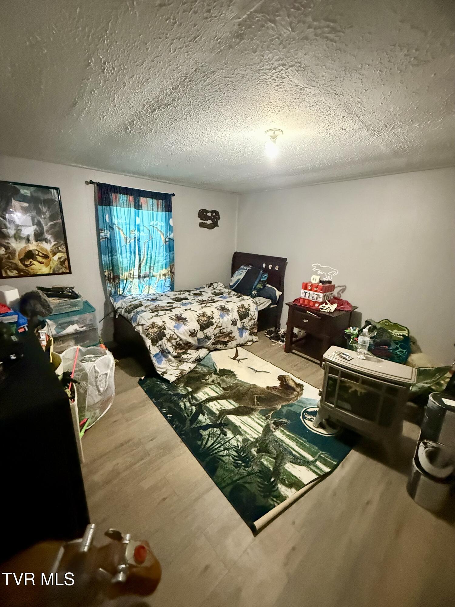 116 Vines Road Hampton, TN 37658 - Photo 5 of 22 IMG_6021