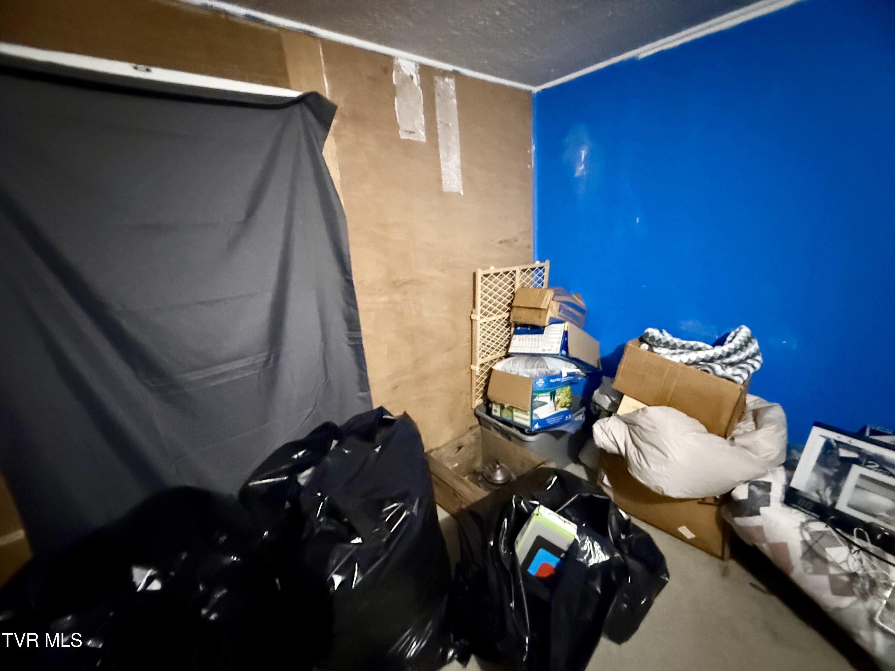 116 Vines Road Hampton, TN 37658 - Photo 7 of 22 IMG_6019