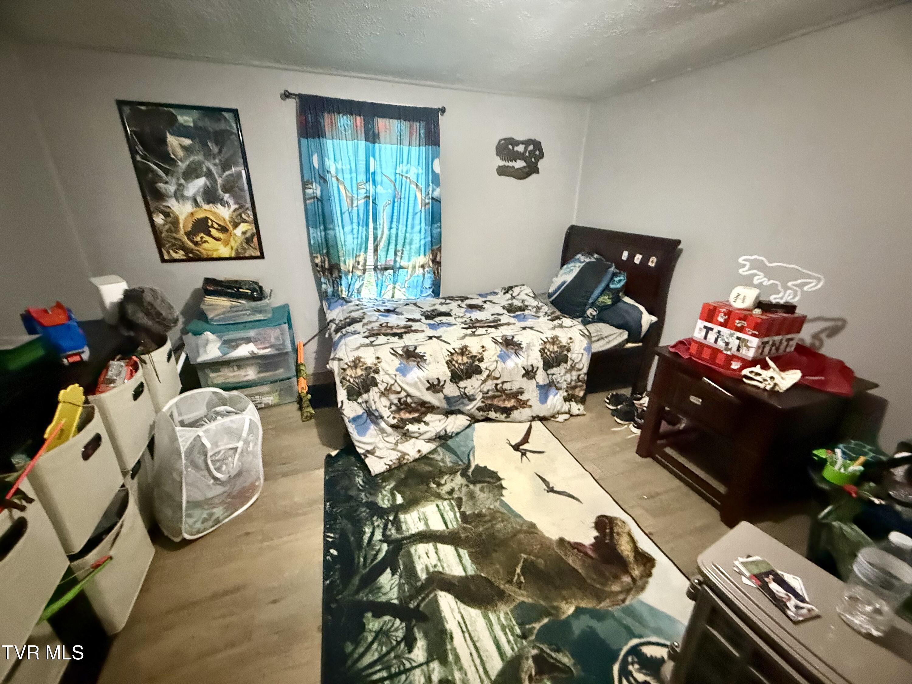 116 Vines Road Hampton, TN 37658 - Photo 9 of 22 IMG_6017