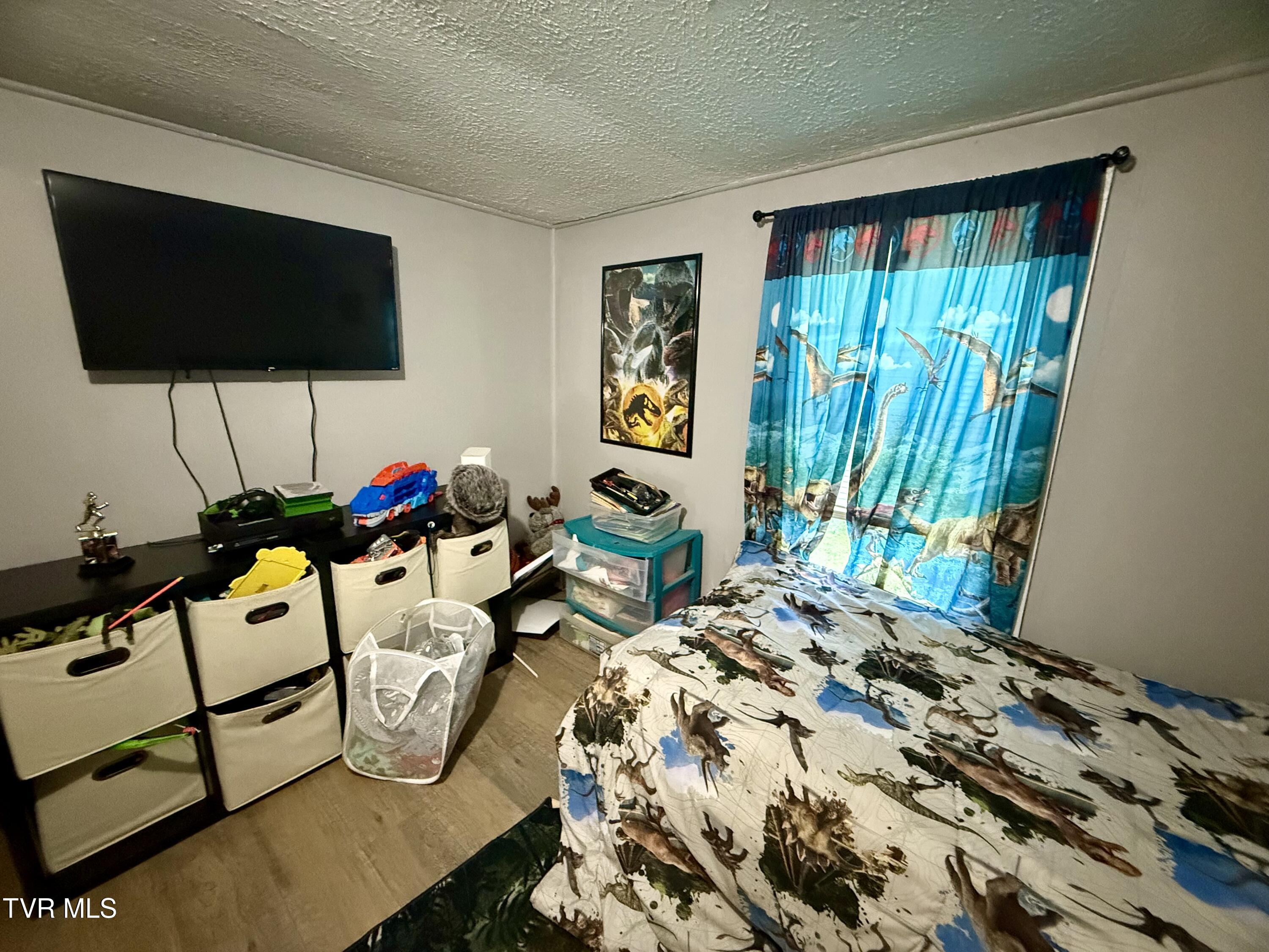 116 Vines Road Hampton, TN 37658 - Photo 10 of 22 IMG_6016