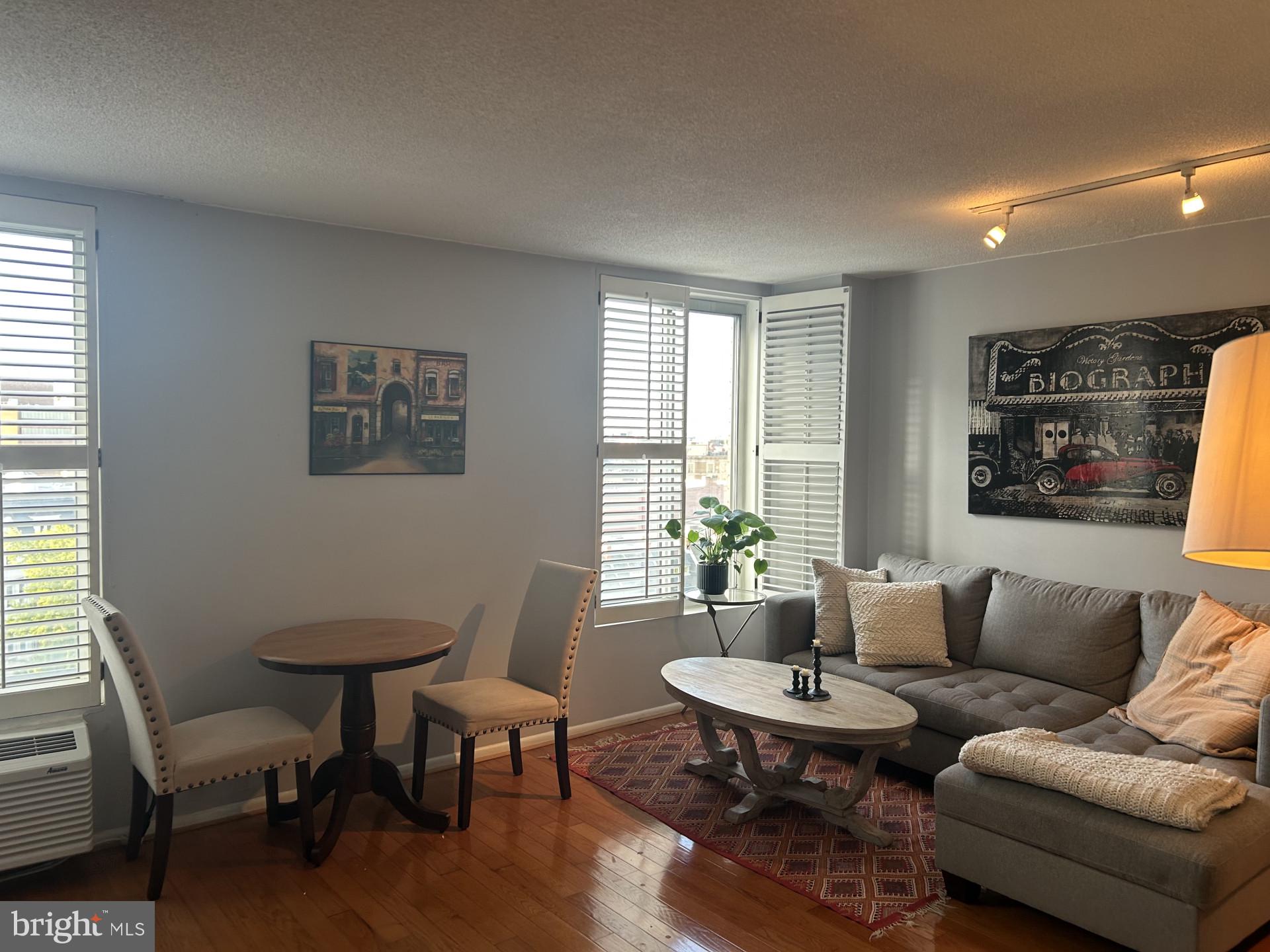 1800 R Street Northwest, Unit 808 Washington, DC 20009 - Photo 4 of 10 a living room with furniture and a potted plant