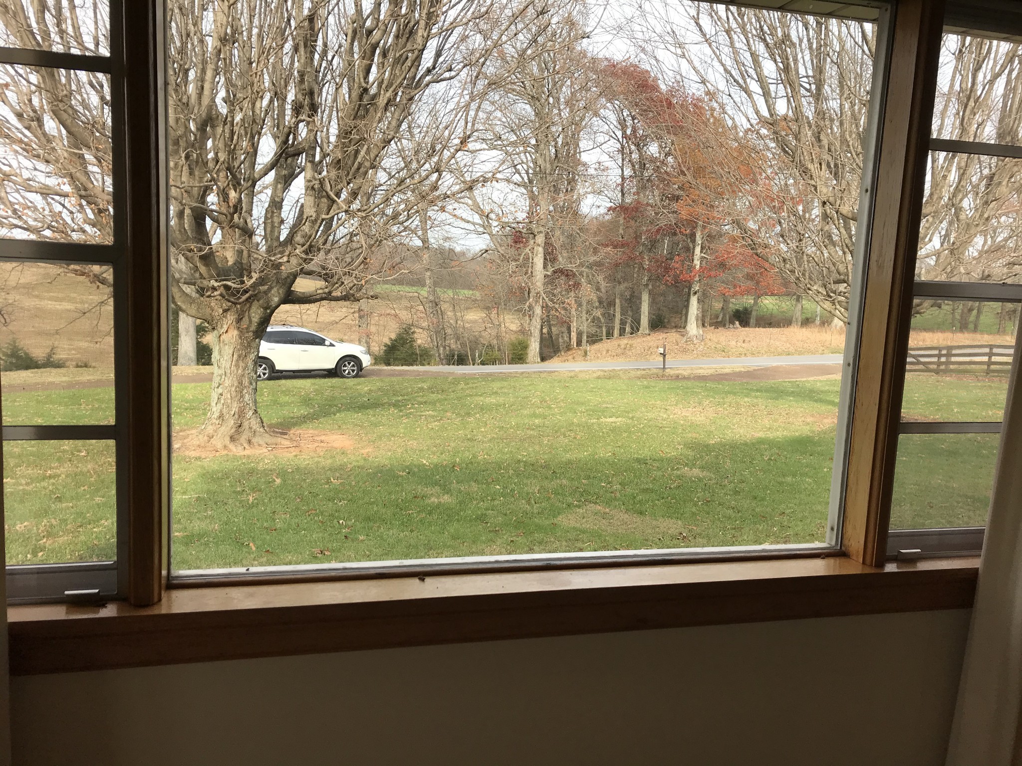 7129 Highland Road Portland, TN 37148 - Photo 12 of 35 a view of a yard from a window