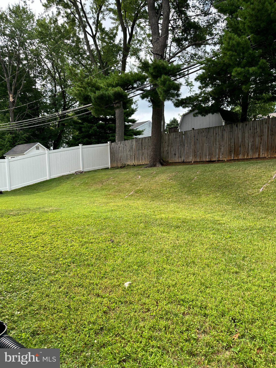 8336 Scotts Level Road Baltimore, MD 21208 - Photo 50 of 55 Lush green yard with serene trees.