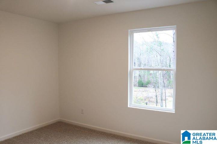 521 Rock Terrace Way Helena, AL 35080 - Photo 19 of 29
