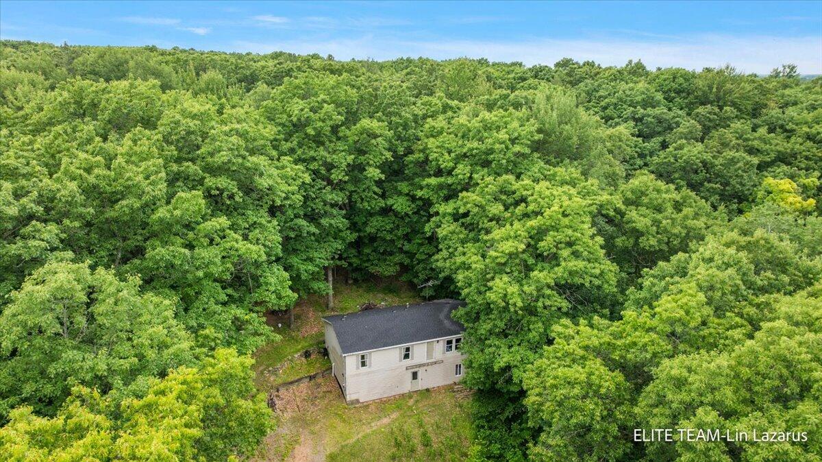 6718 Schmeid Road Lakeview, MI 48850 - Photo 3 of 58