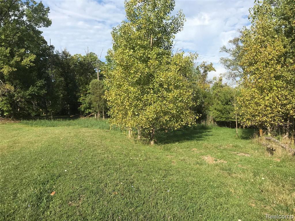 0 Brewster Road Rochester, MI 48309 - Photo 4 of 11