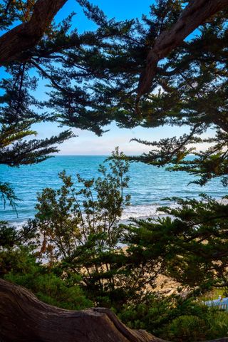 a view of a lake with a tree