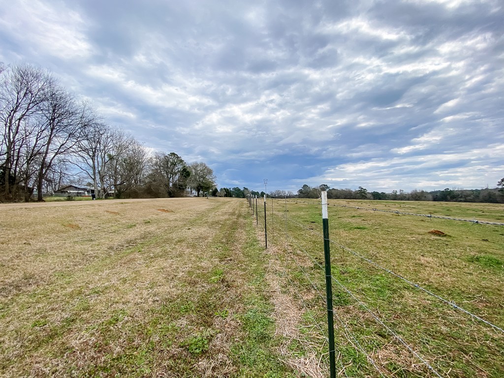 0 Tom Fain Road Geneva, AL 36340 - Photo 11 of 13