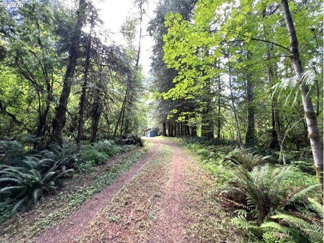 Fairdale Road Yamhill, OR 97148 - Photo 18 of 47 Gallery Image 18