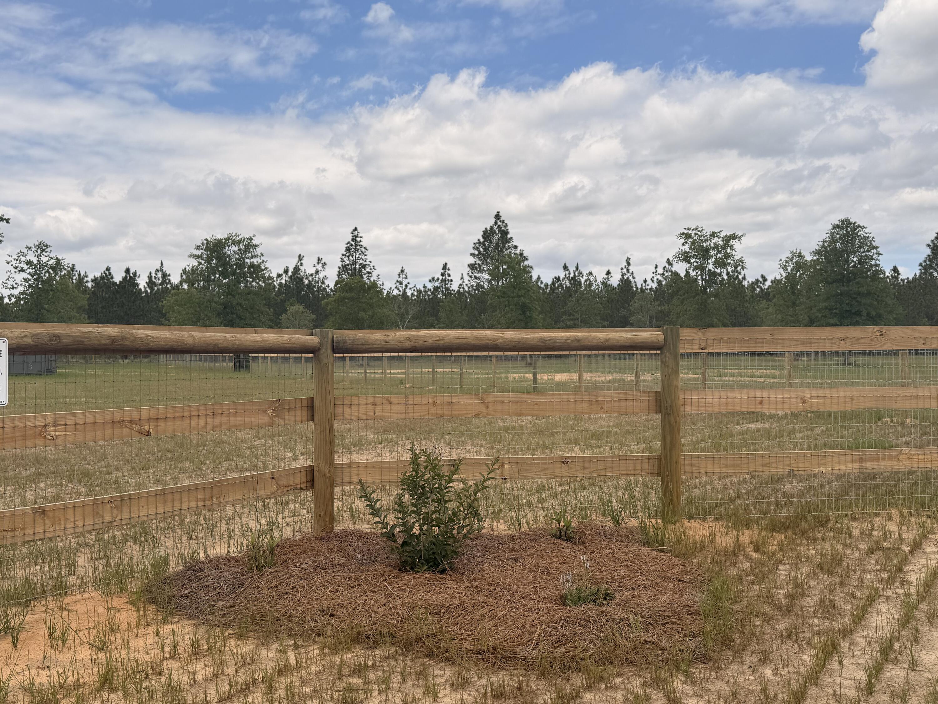 220 Tandem Trail Windsor, SC 29856 - Photo 27 of 48