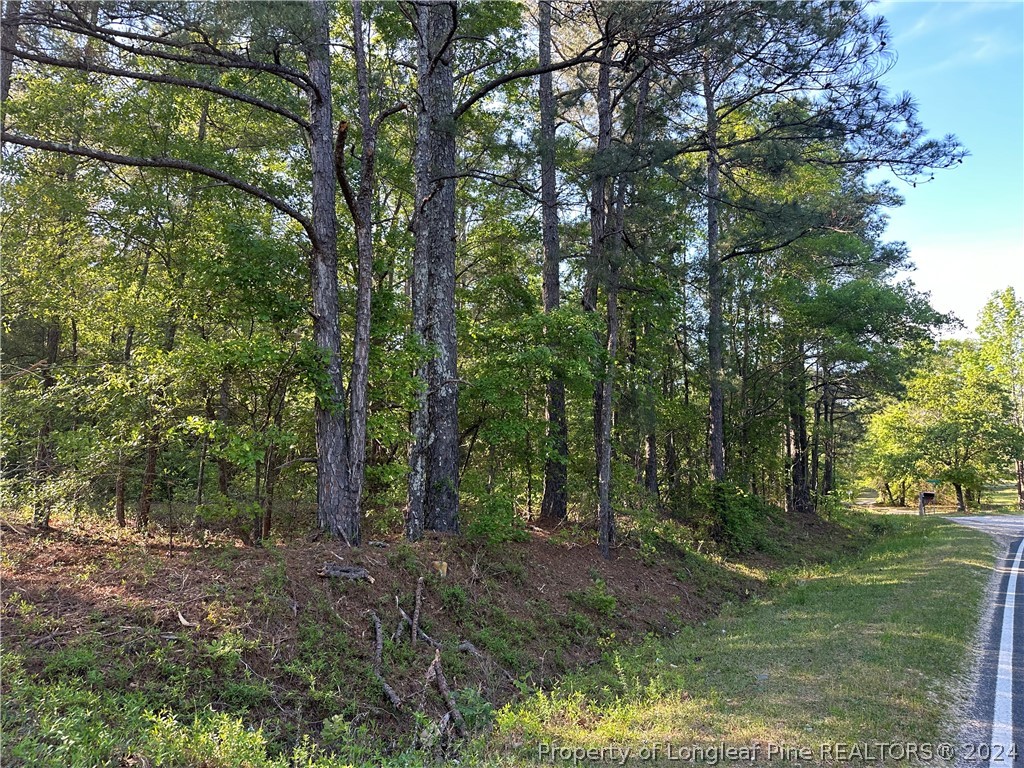Lot 4 Brooks Mangum Road Cameron, NC 28326 - Photo 3 of 7 Gallery Image 3