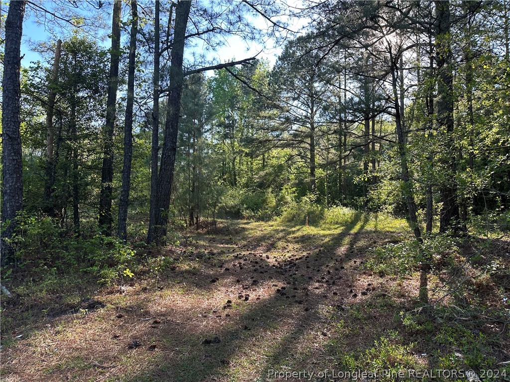 Lot 4 Brooks Mangum Road Cameron, NC 28326 - Photo 4 of 7 Gallery Image 4