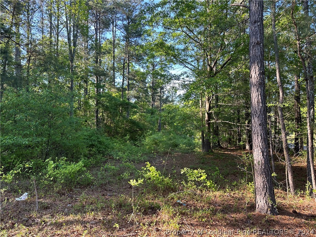 Lot 4 Brooks Mangum Road Cameron, NC 28326 - Photo 6 of 7 Gallery Image 6