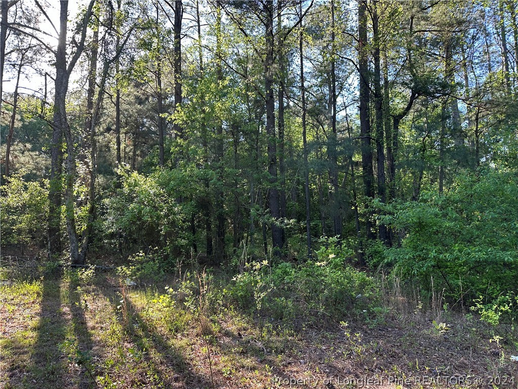 Lot 4 Brooks Mangum Road Cameron, NC 28326 - Photo 7 of 7 Gallery Image 7