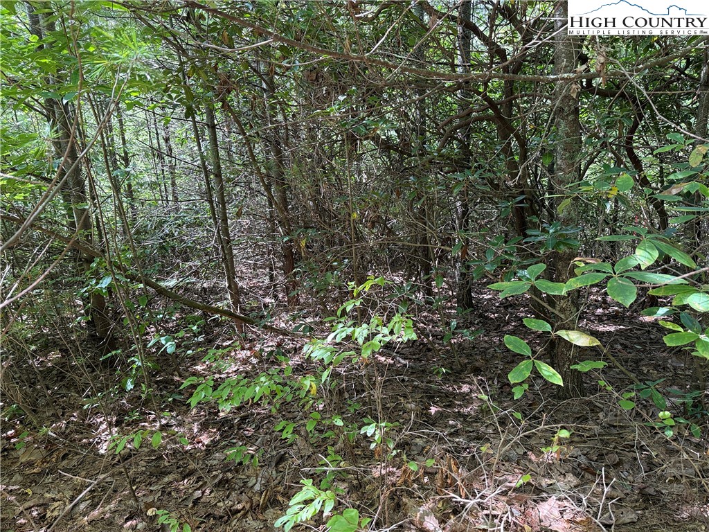 Lot 163 Staghorn Road Purlear, NC 28665 - Photo 8 of 40