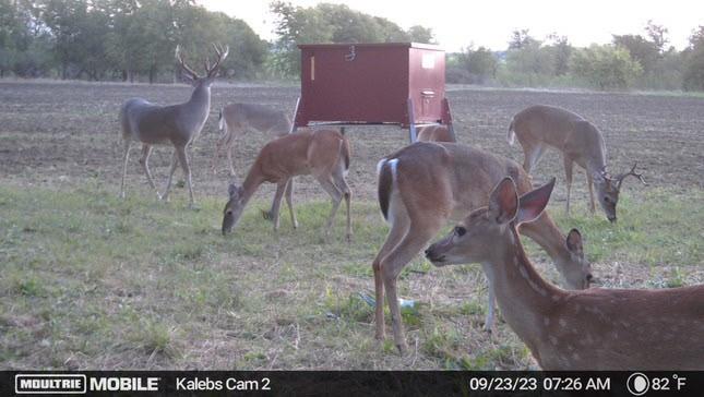 6 Talbert Ranch Road China Spring, TX 76633 - Photo 24 of 27