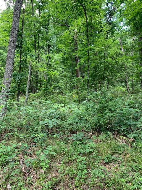 0 Walden View Road Signal Mountain, TN 37377 - Photo 5 of 7 Gallery Image 5