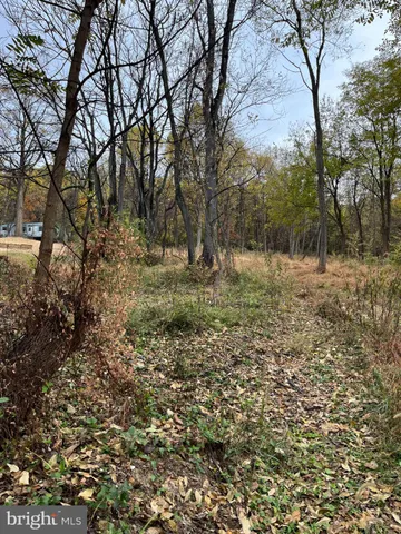 a view of outdoor space with trees