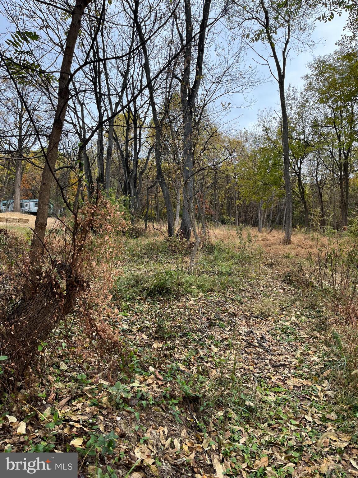 509 Gablers Road Gardners, PA 17324 - Photo 2 of 4 a view of outdoor space with trees