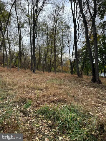 a view of outdoor space with trees