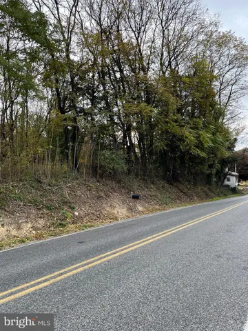 a view of a yard with large trees