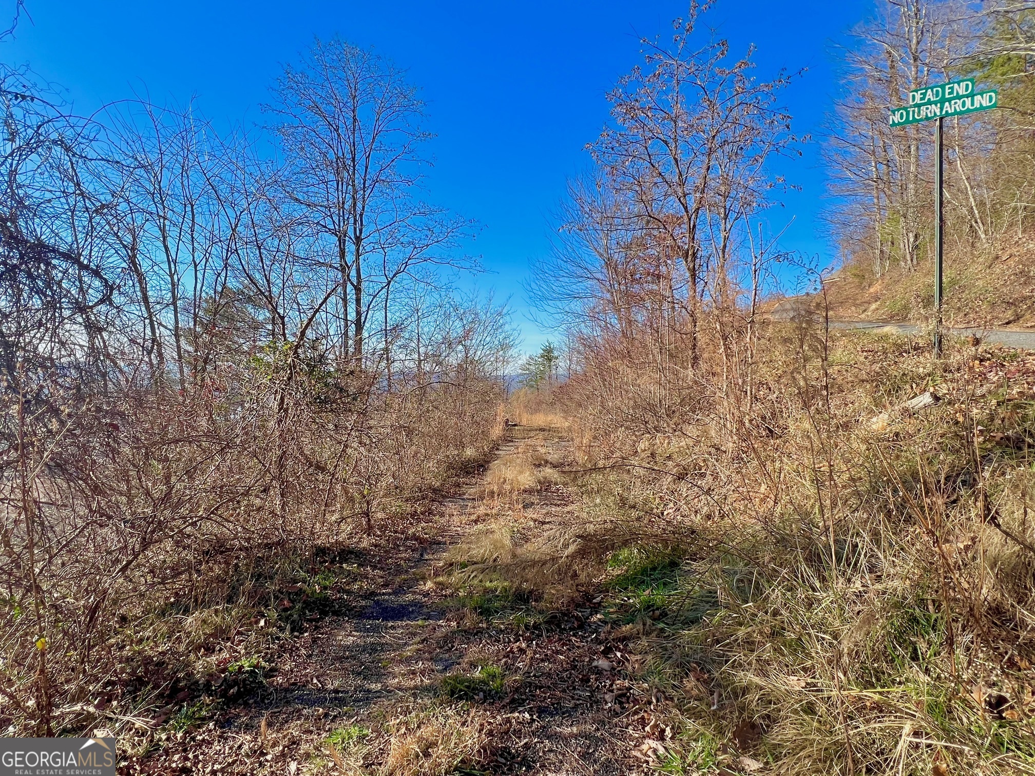 54 Carlin Road Hiawassee, GA 30546 - Photo 13 of 28 a view of a yard