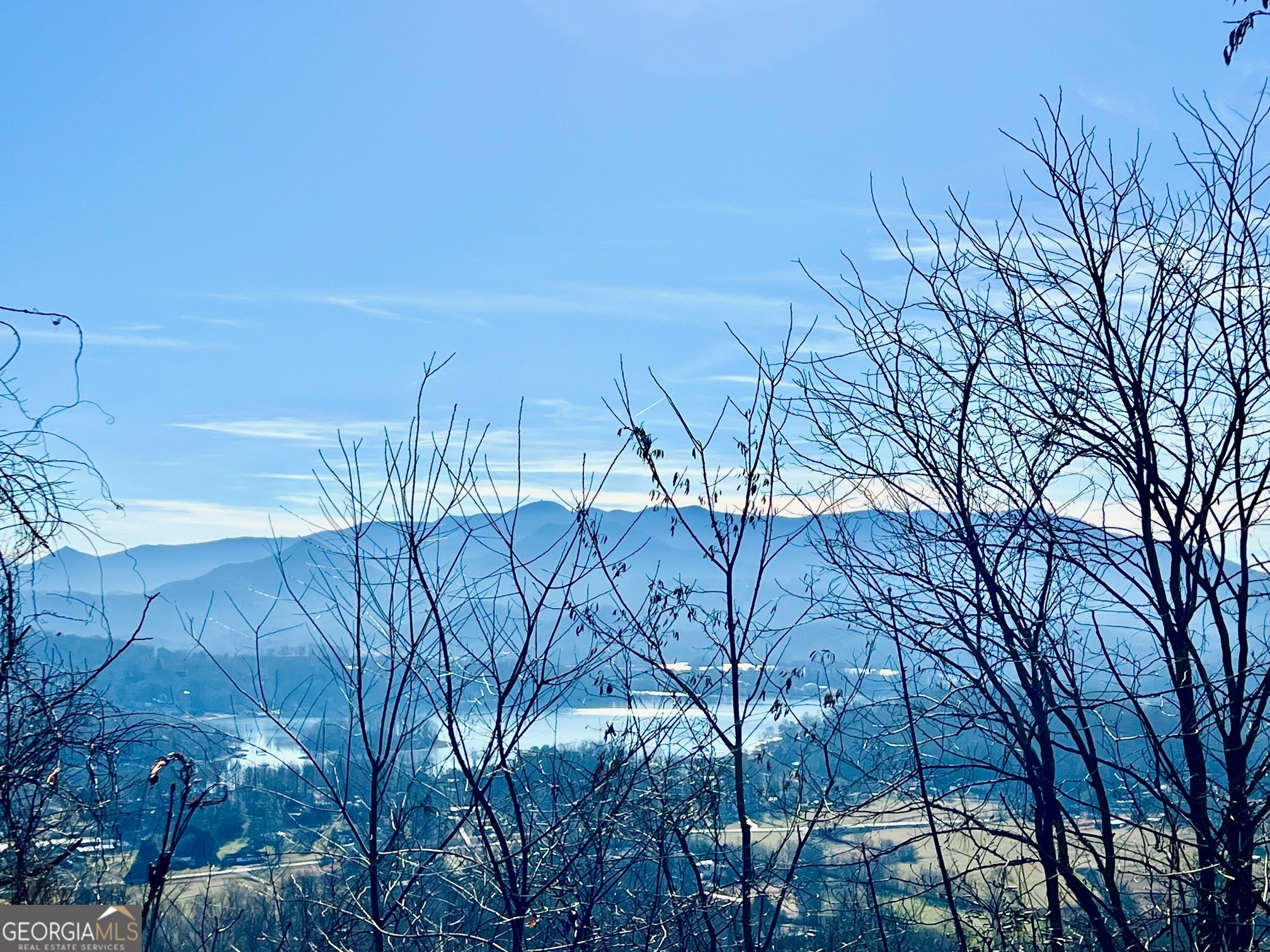 54 Carlin Road Hiawassee, GA 30546 - Photo 15 of 28 a view of a backyard of a house