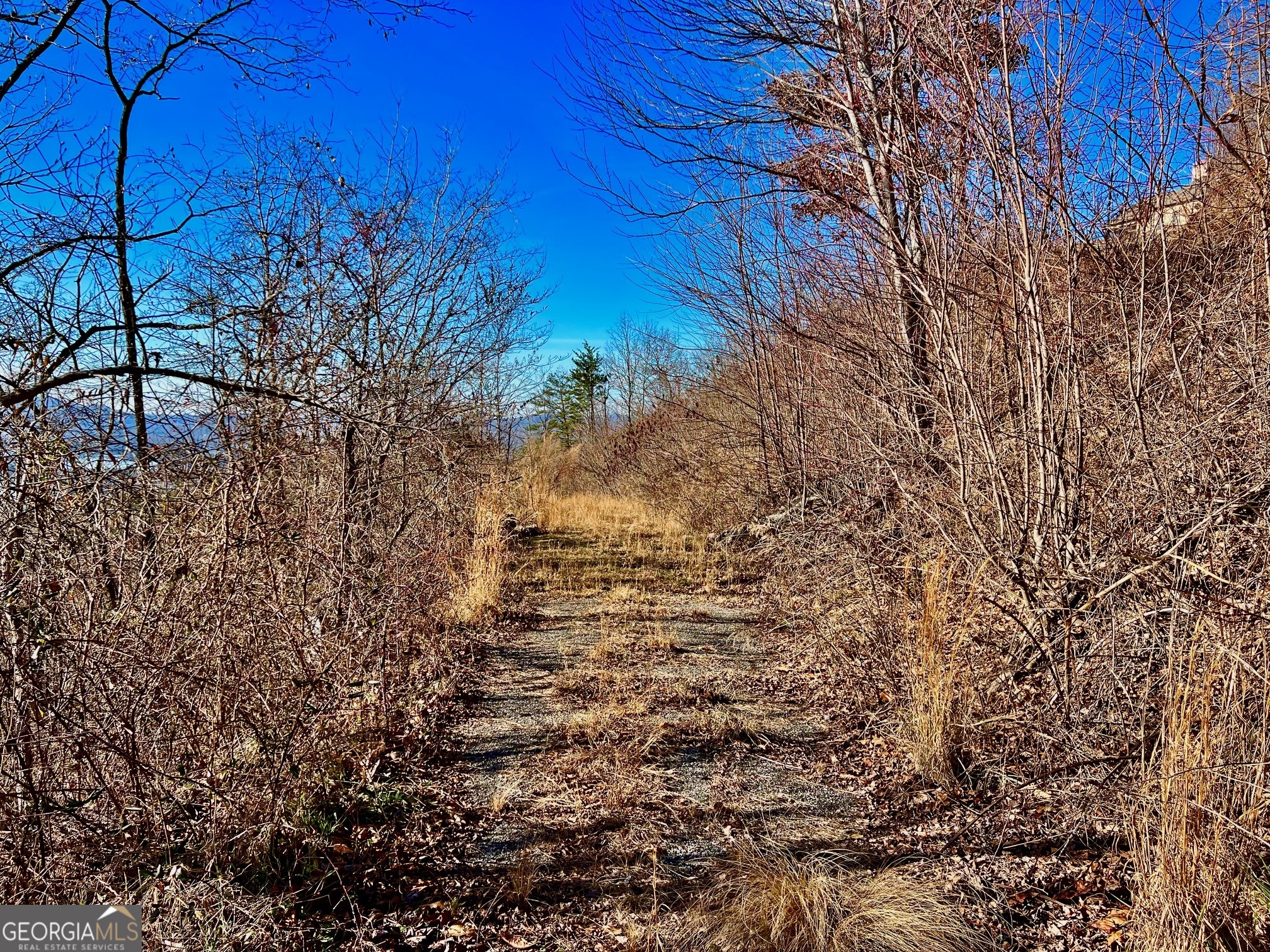 54 Carlin Road Hiawassee, GA 30546 - Photo 16 of 28 a view of a yard