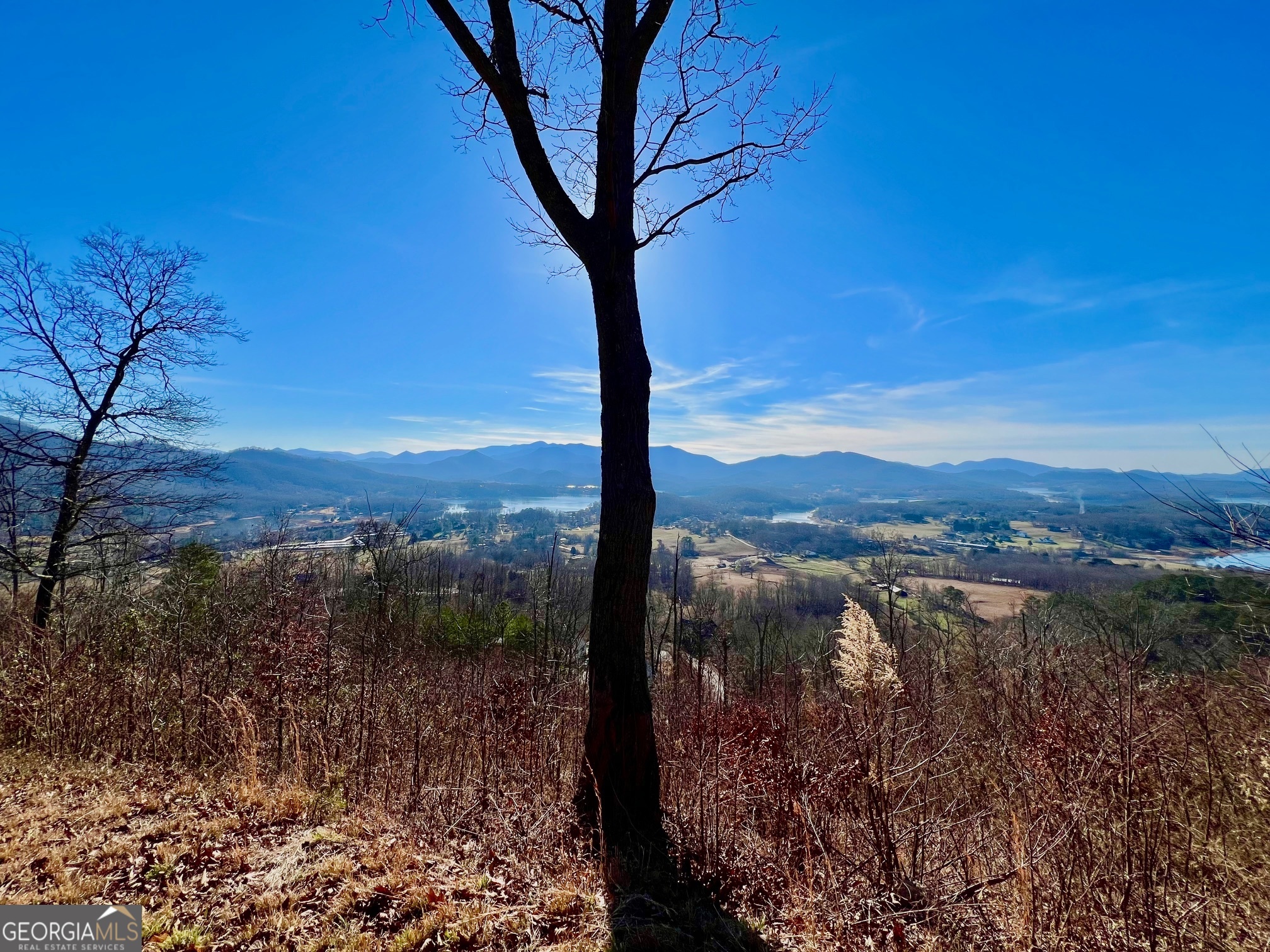 54 Carlin Road Hiawassee, GA 30546 - Photo 19 of 28 a view of a lake with a mountain in the background