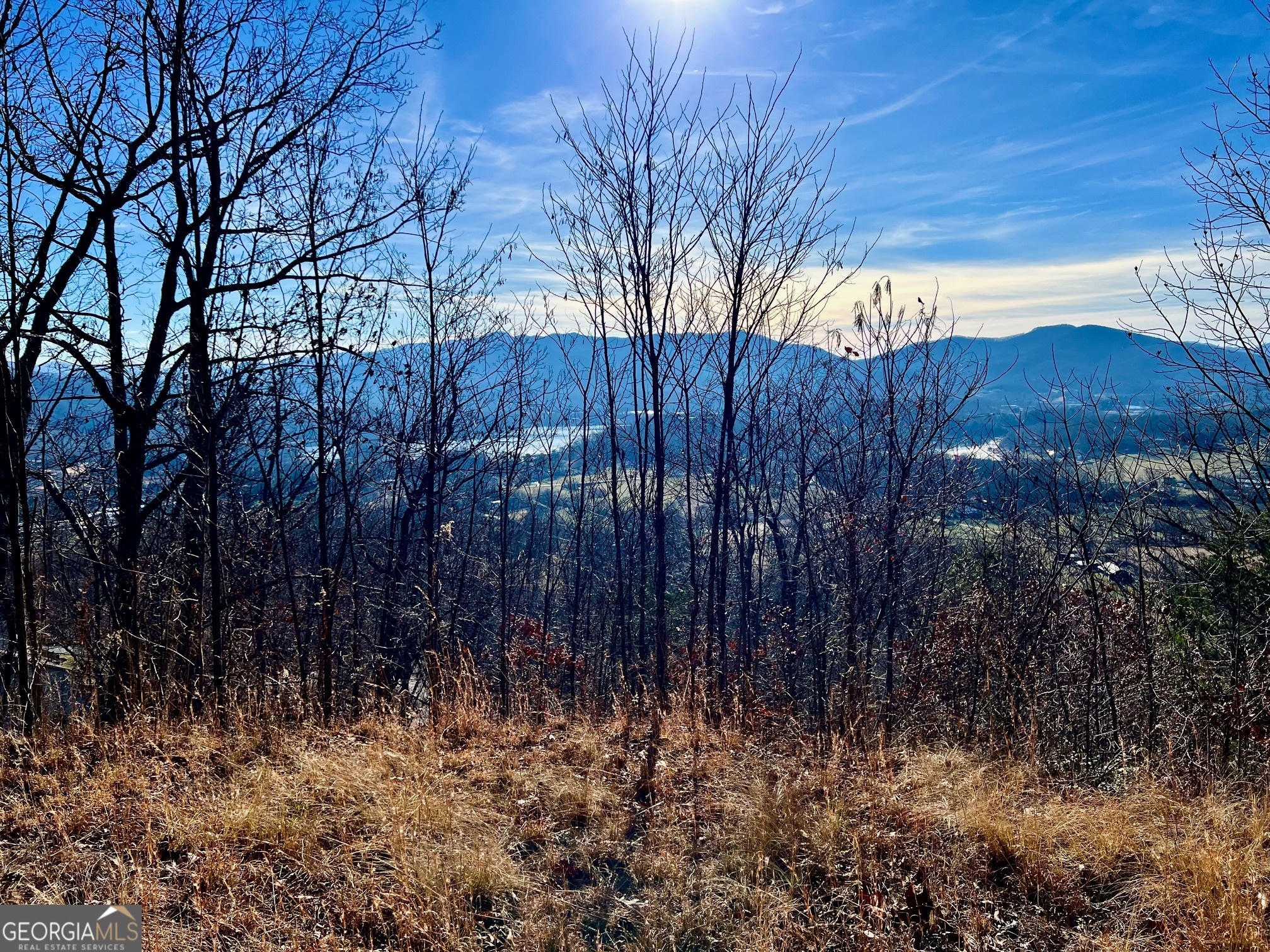 54 Carlin Road Hiawassee, GA 30546 - Photo 21 of 28 a view of a backyard