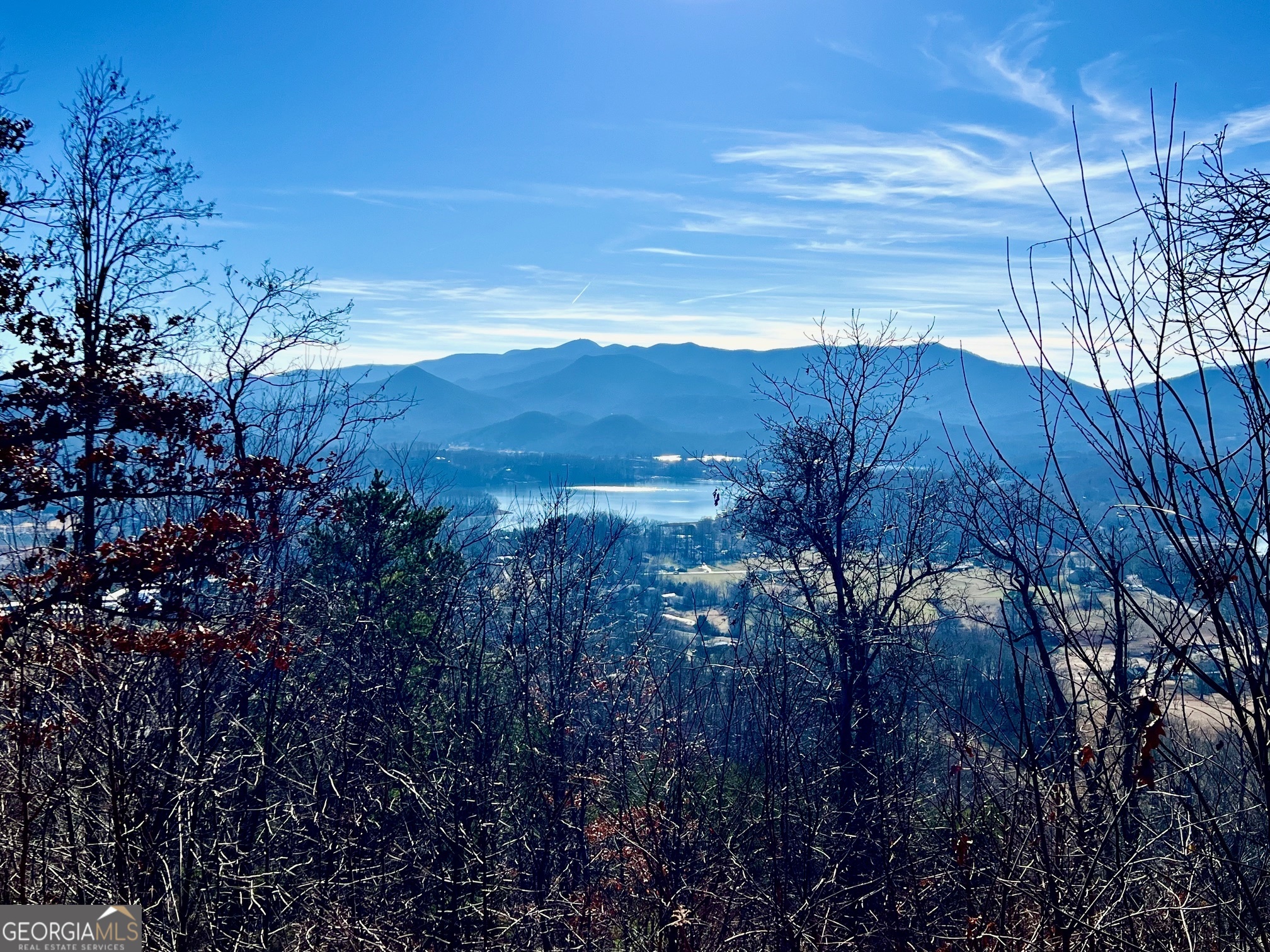 54 Carlin Road Hiawassee, GA 30546 - Photo 24 of 28 a view of a houses of a yard