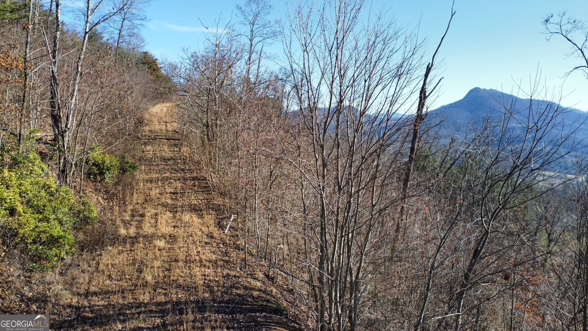 54 Carlin Road Hiawassee, GA 30546 - Photo 25 of 28 a view of a yard