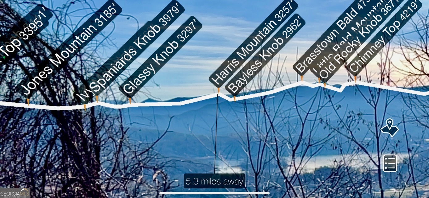 54 Carlin Road Hiawassee, GA 30546 - Photo 28 of 28 a view of an outdoor space with a tree