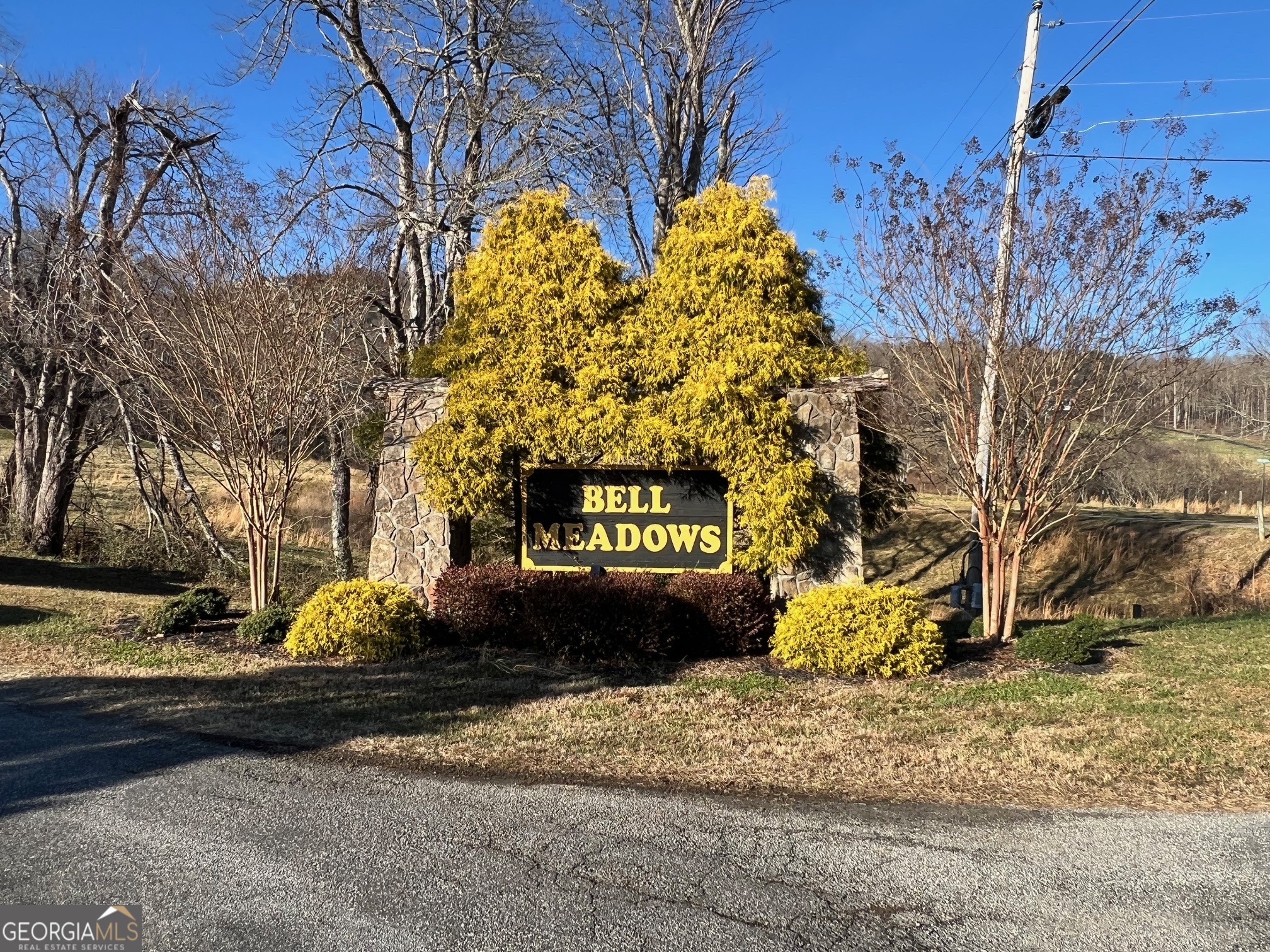 54 Carlin Road Hiawassee, GA 30546 - Photo 4 of 28 a street view with tall buildings