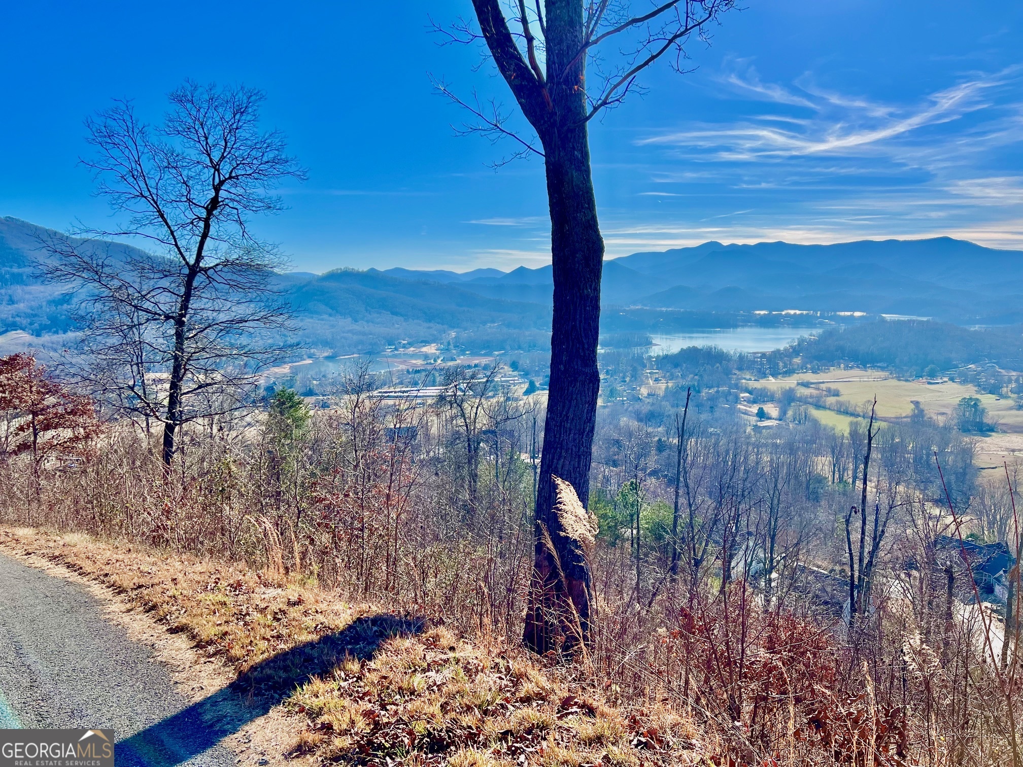 54 Carlin Road Hiawassee, GA 30546 - Photo 5 of 28 a view of a yard