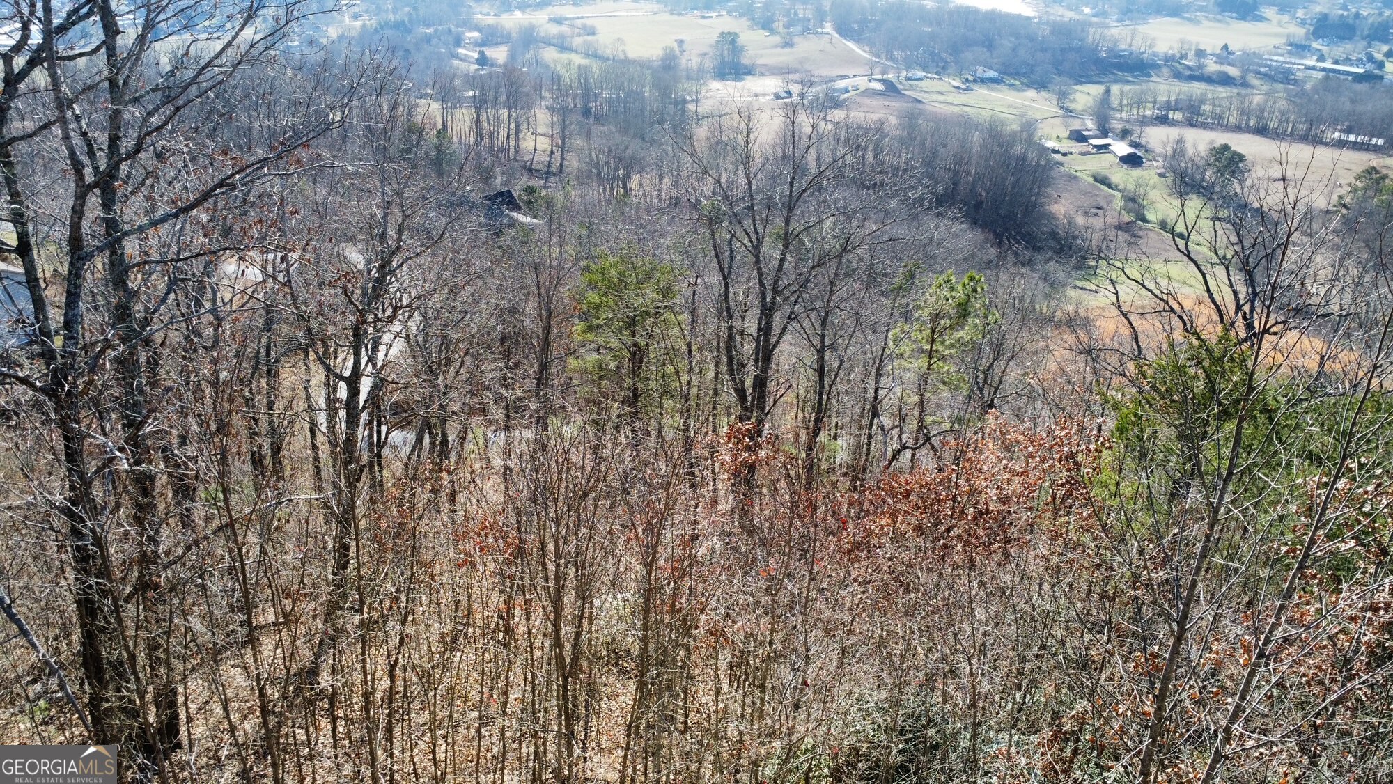 54 Carlin Road Hiawassee, GA 30546 - Photo 8 of 28