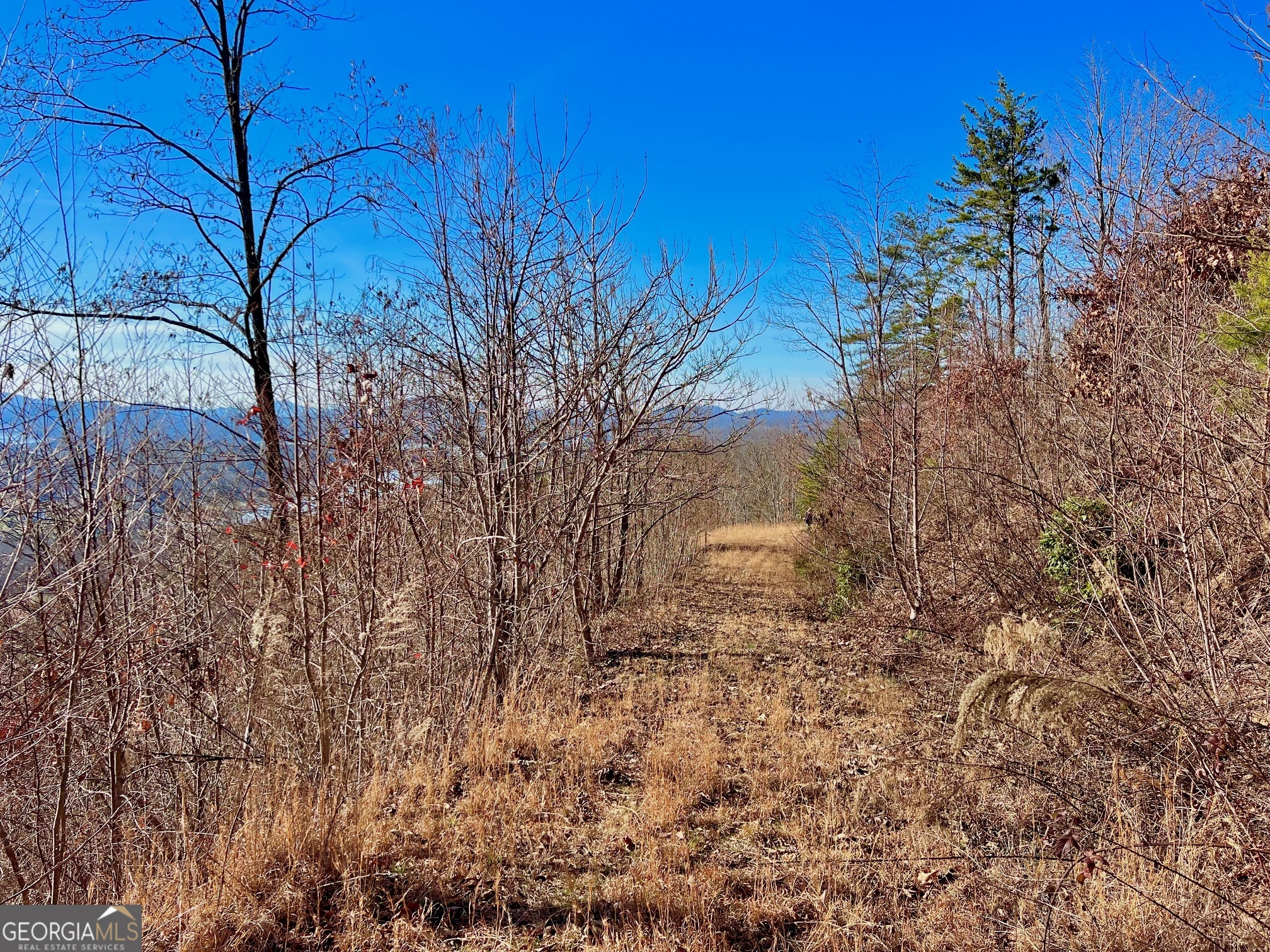 54 Carlin Road Hiawassee, GA 30546 - Photo 9 of 28 a view of a yard