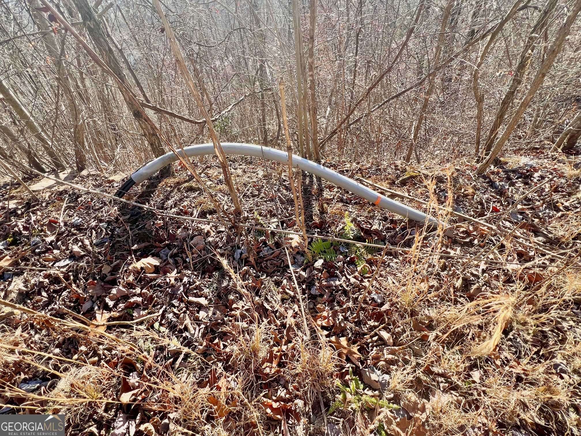 54 Carlin Road Hiawassee, GA 30546 - Photo 10 of 28 a view of a yard